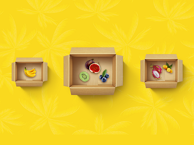 Fruitbox box design fruit illustration tech design