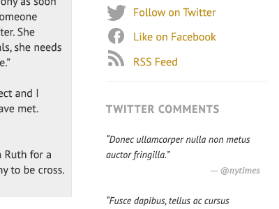 Twitter Comments PT Sans + PT Serif facebook pt sans pt serif pt serif caption rss twitter