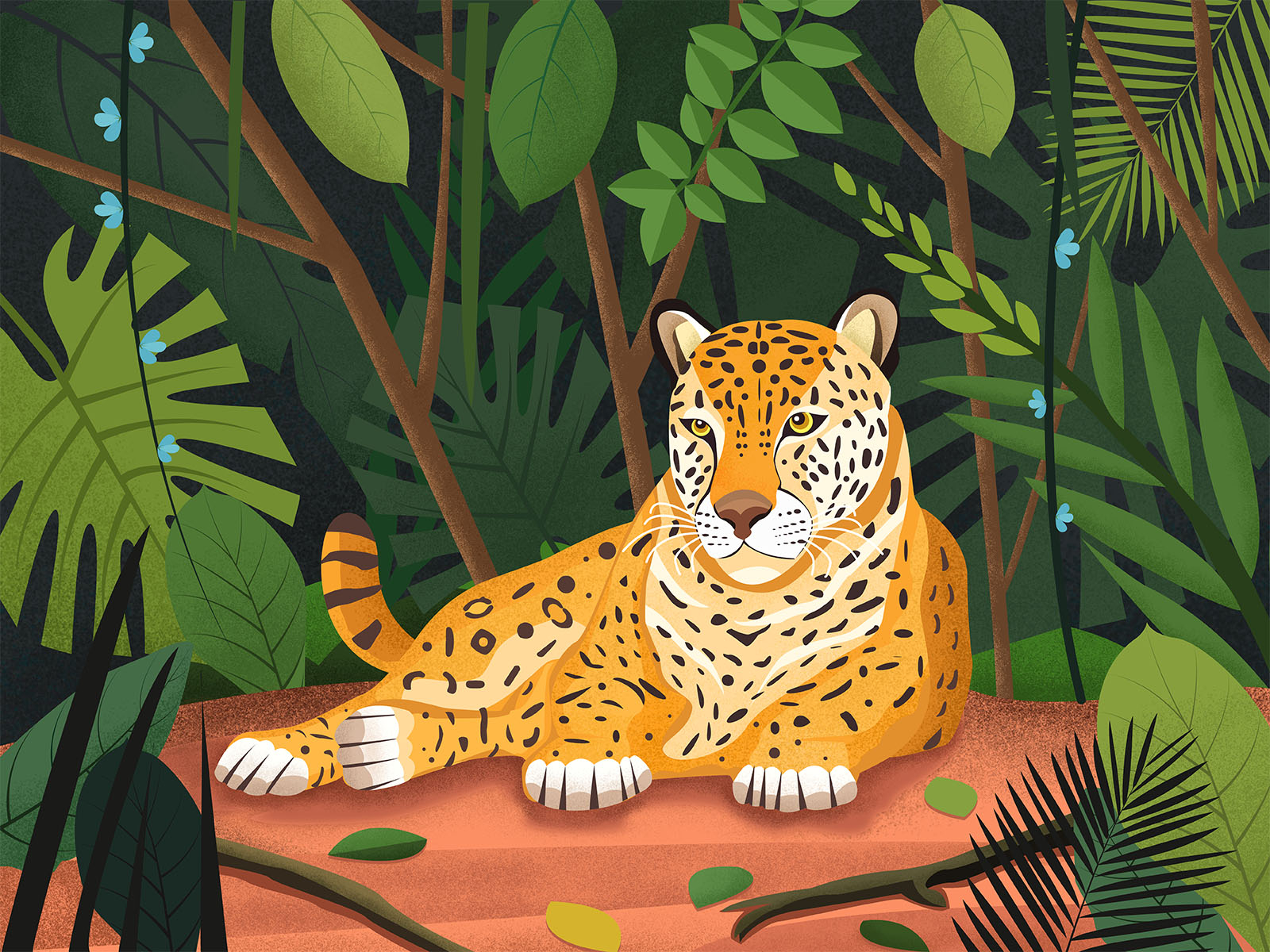 Leopard in the jungle by yuanyuan on Dribbble