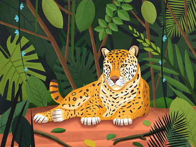 Leopard in the jungle animal animal illustration forest jungle love plants wildlife