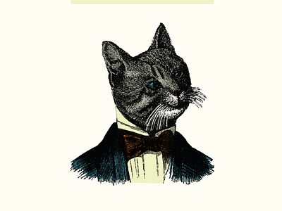 Dandy Cat cat dandy illustration portrait