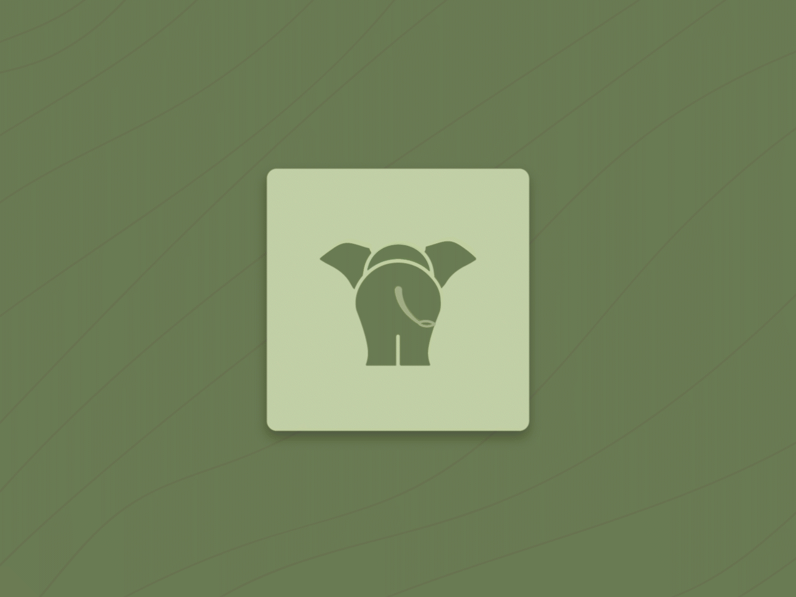 "No Masters Please" aftereffects animation baby baby elephant design elephant flat free gif green icon illustrator minimal tail vector weekly warm up wild wildlife