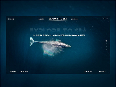 Explore to sea Web Design app branding design icon identity ios minimal mobile ui ux web website