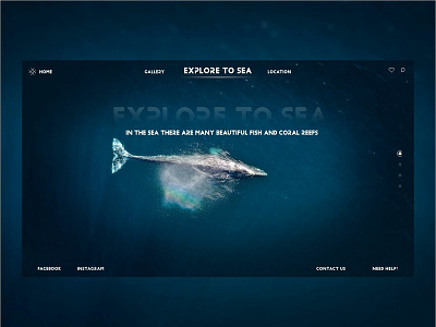 Explore to sea Web Design