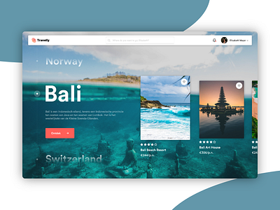 Travel Website Concept app branding design typography ui ux web website