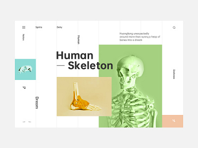 The skeleton format design type typography ui web website