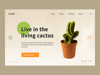 Cactus format 1 design type typography ui ux web website