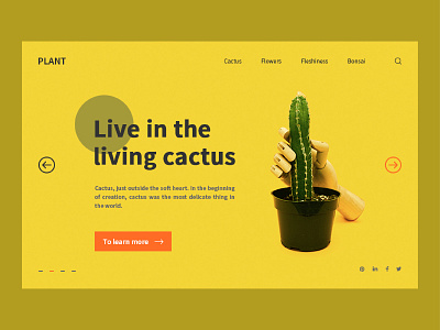 Cactus format 2 design type typography ui ux web website