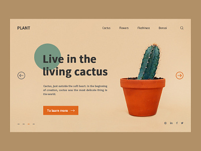 Cactus format 3 design type typography ui ux web website