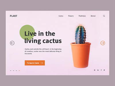 Cactus format 4 design type typography ui ux web website