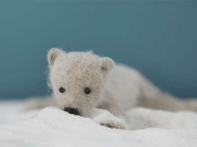 Qoi animated gif dragonframe polar bear cub qoi stop motion