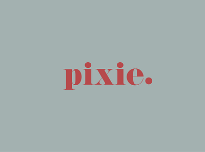Pixie logo branding graphic design logo logo design logodesign logotype