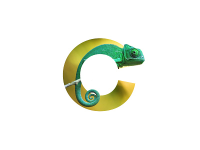 "C" Letter Portrait animal art chameleon creative design digital digital art graphic graphic design image inspiration minimal photo manipulation photoshop portrait reptile visual art