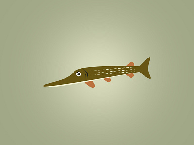 Simple illustration of a pike