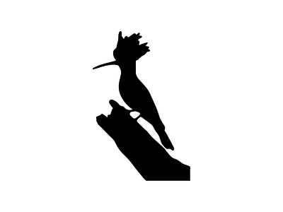 Druska Books logo ebooks epublisher hoopoe logo