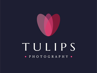 Tulips Photography abstract feminine minimal photography tulip