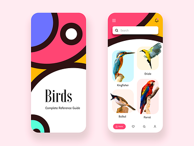 Day 23 of 30 - Birds Reference Guide App app appdesign bird bird watching birds colorful design interface pattern pet app