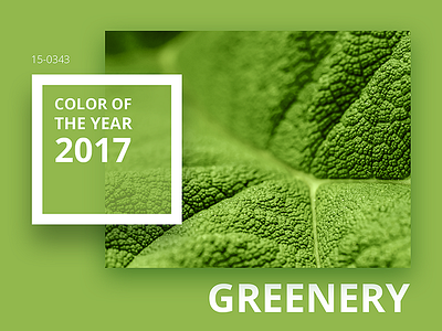 The PANTONE Color of the Year 2017 2017 color fresh green greenery pantone