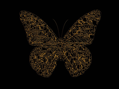 Butterfly branding design illustration illustrator logo vector