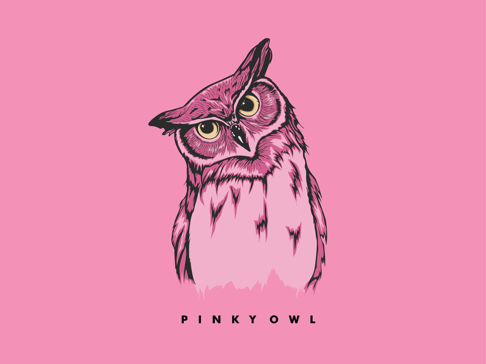 Pinky Owl by Ervin Gutava on Dribbble