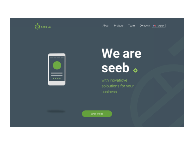 A Shot from Seeb Website Design