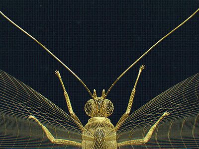 Golden Butterfly black c4d cg dark experimental gif gold motion octane render particles science ui