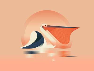 Pelican character design illustration illustrator pelican vector art