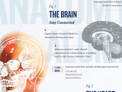 Anatomy of an Alumnus anatomy brain med school medical self mailer skeleton text book typography