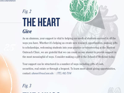 Anatomy of an Alumnus anatomy heart med school medical self mailer skeleton text book typography