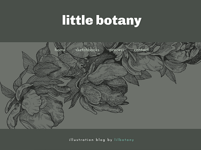 Little Botany Blog Page classwork css design html illustration portfolio website