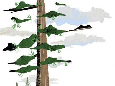 Illustration: White Pine canada illustration storybook trees