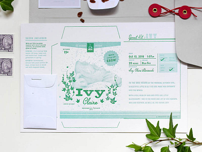 Baby Ivy Sprout Kit birth announcement garden ivy kit letterpress packaging printed seeds sprout vintage package