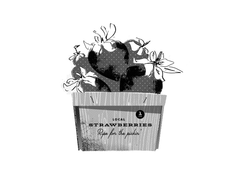 Strawberries farm to table eat local local food dot pattern vintage basket vintage type woodgrain vector illustration strawberries