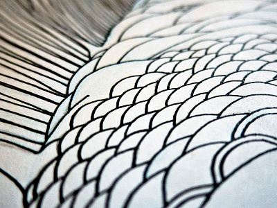 Giant Gold Luck Fish outlines close-up 1 animal creature drawing fish illustration ink jason kan koi markers