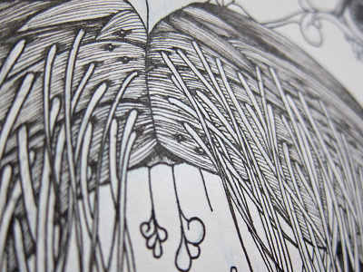 The Wonder Kingdom presents The King Walrus art creature drawing illusration ink jason kan king king walrus marker pencil walrus