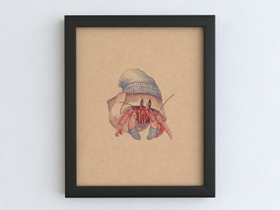 Hermit Crab Illustration Framed