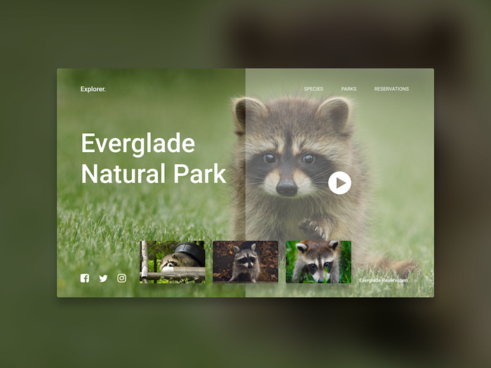 Browse thousands of Nature UI images for design inspiration | Dribbble