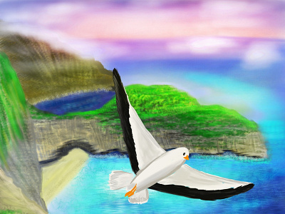 Bay bay blue design illustration sea seagull