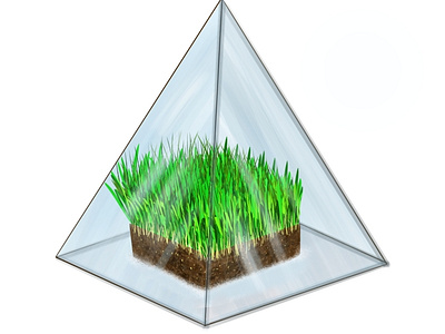 Glasspyramid design glass grass green illustration pyramid