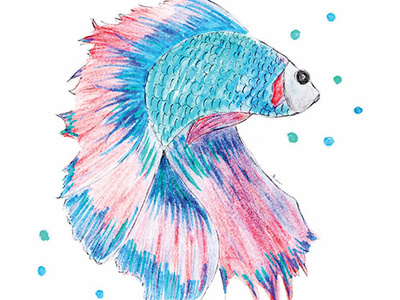 Fish copic marker hand drawing illustration pencil drawing water color pencil
