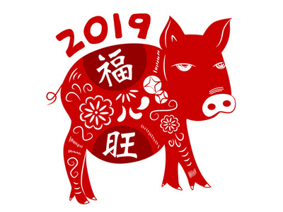 2019 Year of Pig digital art illustration new year 2019 newyear pig