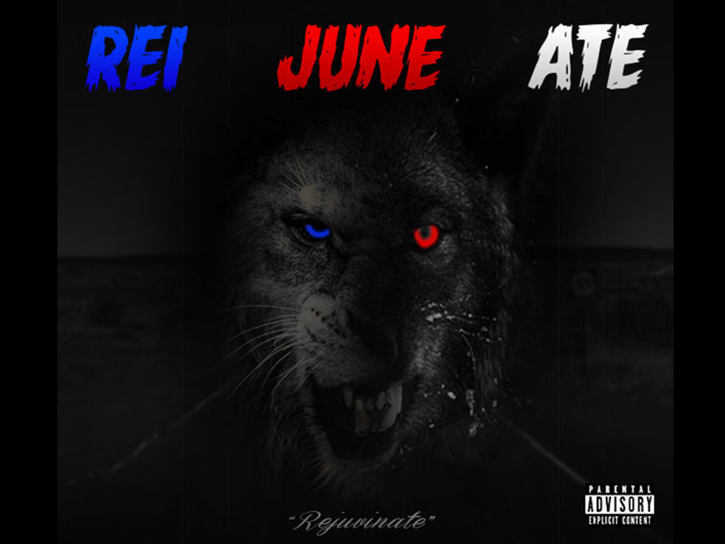 Reijuneate Cover Art By Ke Moni Champion On Dribbble