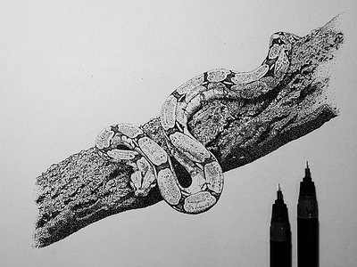 Snake on bark animal drawing illustration pen and ink pen art pen drawing pointillism stippling