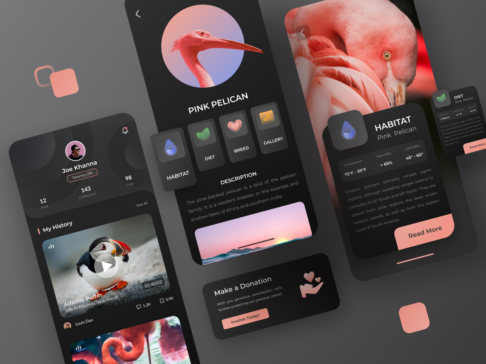 animal-conservation-app-by-danni-li-on-dribbble