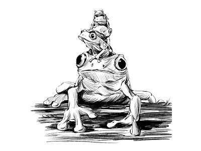Frog illustration painting