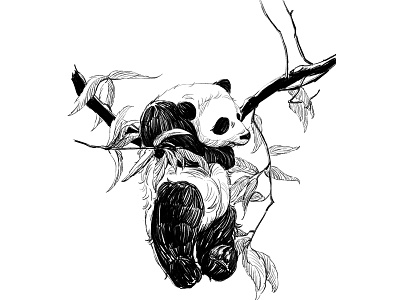 Panda illustration painting