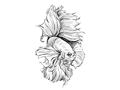 Fish illustration painting