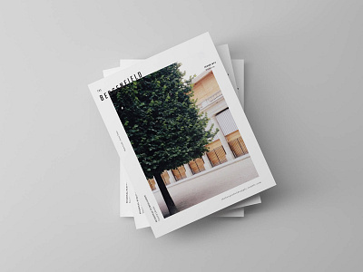The Bergenfield Supply art direction branding layout print publication