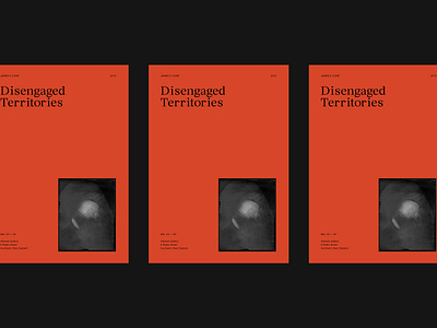 Disengaged Territories Promotional Poster art direction brand branding design exhibition design layout minimal print type typography