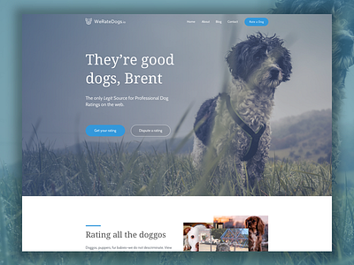 We Rate Dogs Landing Page Sample dogs landing page wordpress